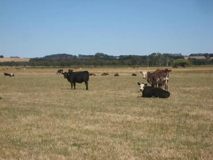 Fifth view of Homely rural property listing, Hutchins & Glengleeson West Road, Macarthur VIC 3286