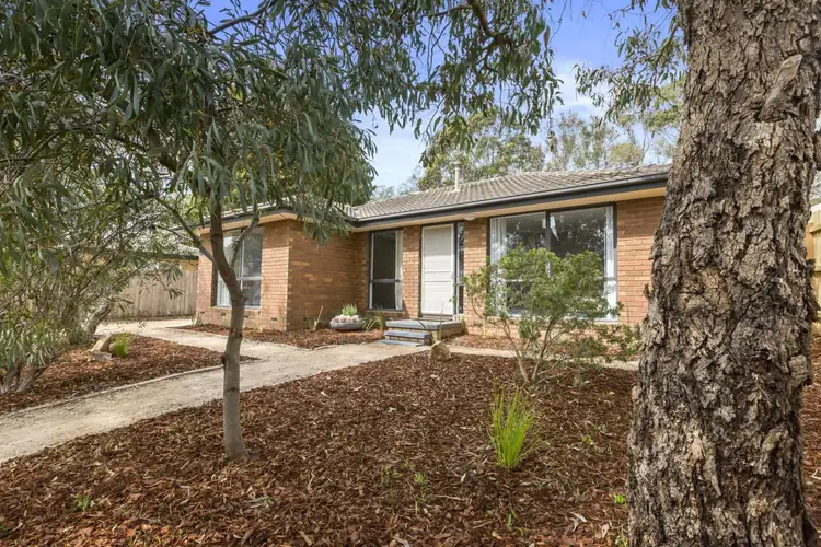 4 Lynne Court, Langwarrin VIC 3910