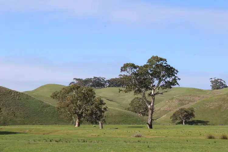 Sixth view of Homely rural property listing, 70 Sealeys Road, Sandford VIC 3312