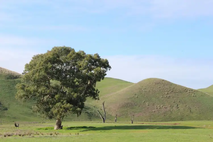 Seventh view of Homely rural property listing, 70 Sealeys Road, Sandford VIC 3312