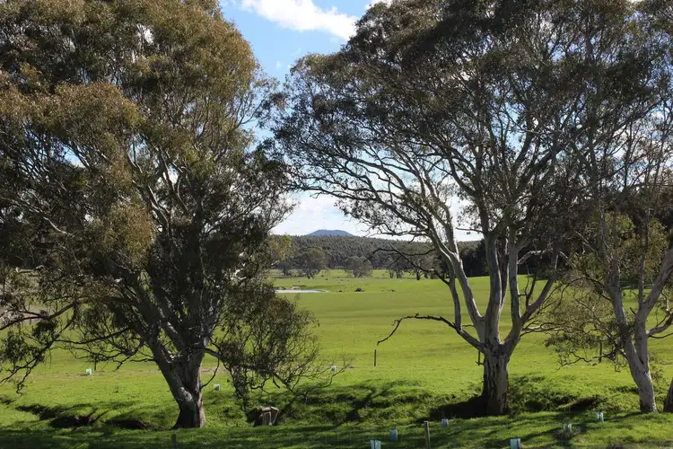 443 Cavendish-Glendinning Road, Cavendish VIC 3314