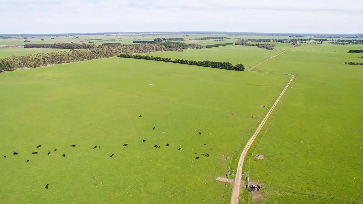 Main view of Homely rural property listing, 4003 Hamilton-Port Fairy Road, Macarthur VIC 3286