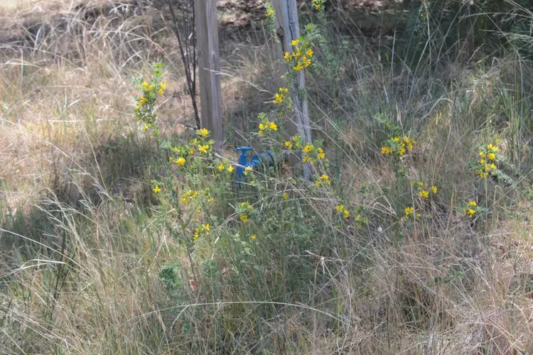 Sixth view of Homely land listing, 2 McClellans Crescent, Argyle VIC 3523