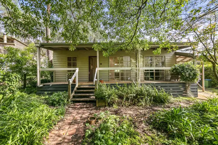 Main view of Homely house listing, 15 Frederick Street, Red Hill VIC 3937
