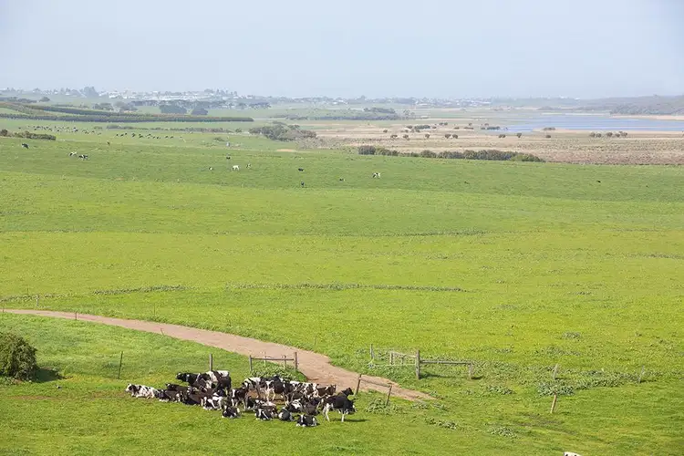 Seventh view of Homely land listing, Lot Lynchs Road, Illowa VIC 3282