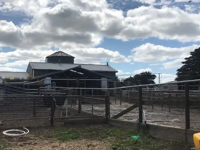 Second view of Homely rural property listing, 619 Ellerslie Sisters Road, The Sisters VIC 3265