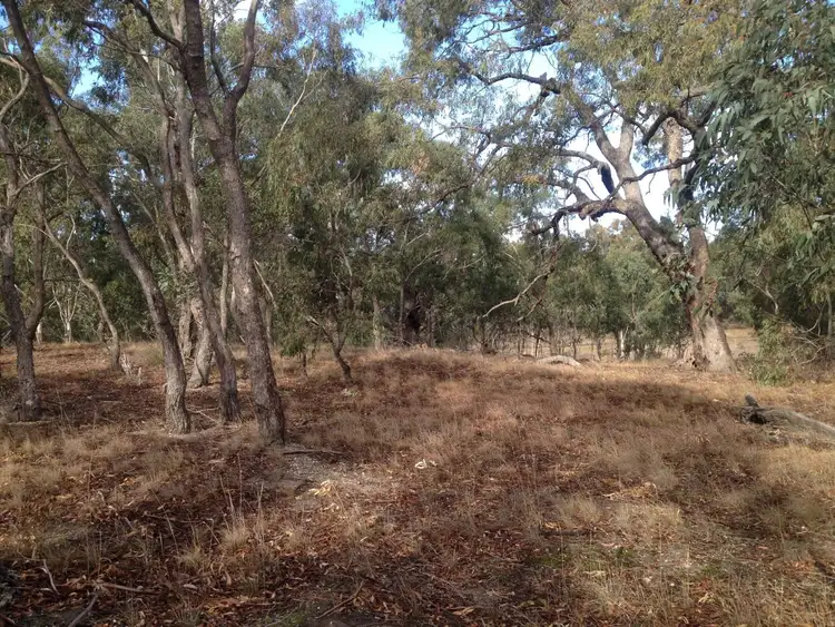 Seventh view of Homely rural property listing, Corner Fosters Road & Maffra - Briagolong Road, Maffra VIC 3860