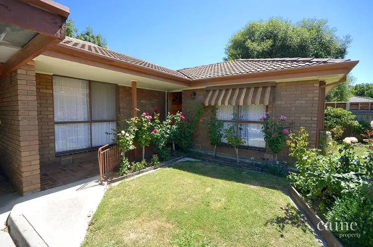 3/326 Walker Street, Ballarat North VIC 3350