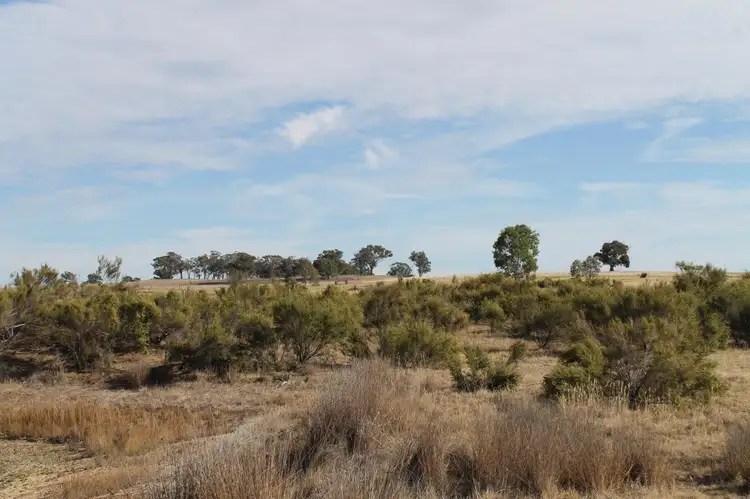 Fifth view of Homely rural property listing, Lot 5 Davis Road, Mount Camel VIC 3523