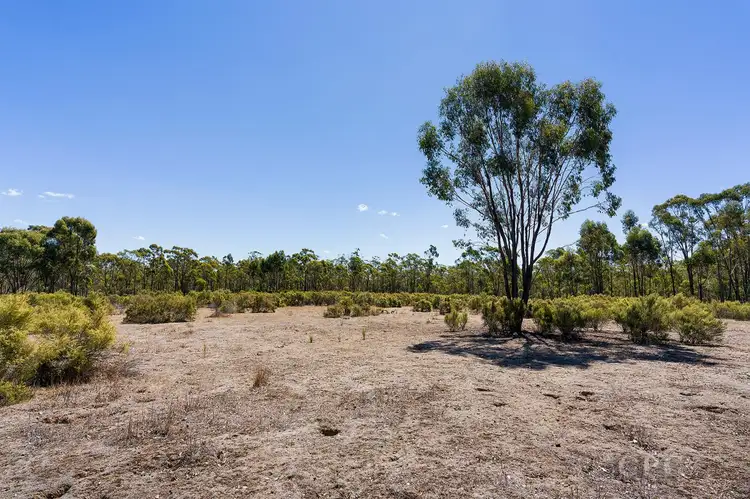 Sixth view of Homely land listing, 1823 Pyrenees Highway, Muckleford VIC 3451