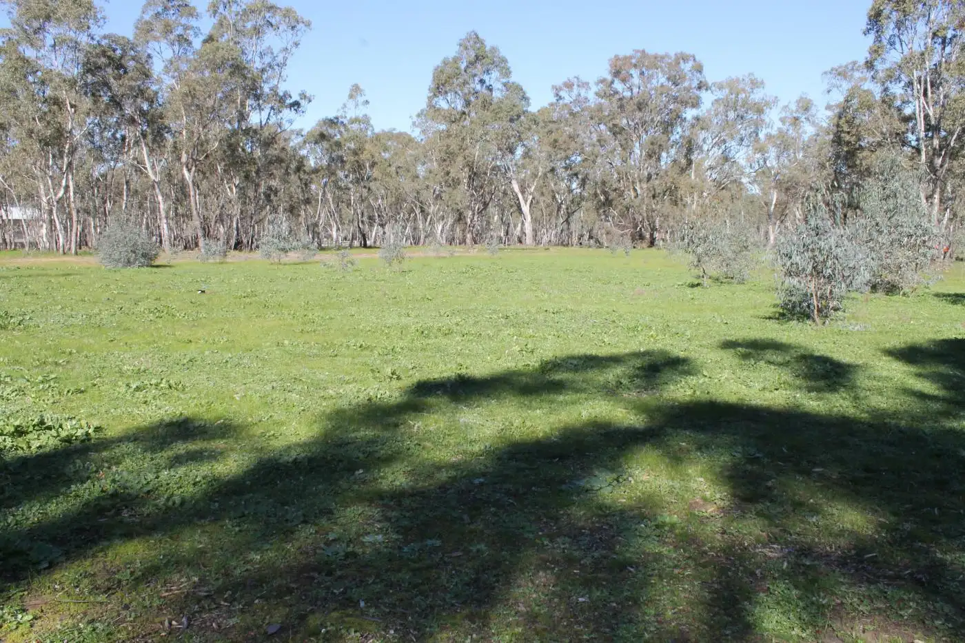 Main view of Homely land listing, 126-128 Caldwell Street, Heathcote VIC 3523