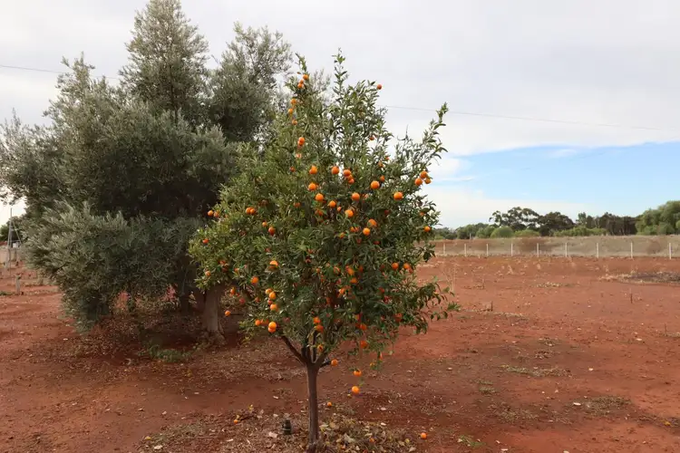 Fifth view of Homely rural property listing, CA 13 School Road, Corop VIC 3559