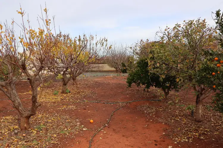 Sixth view of Homely rural property listing, CA 13 School Road, Corop VIC 3559