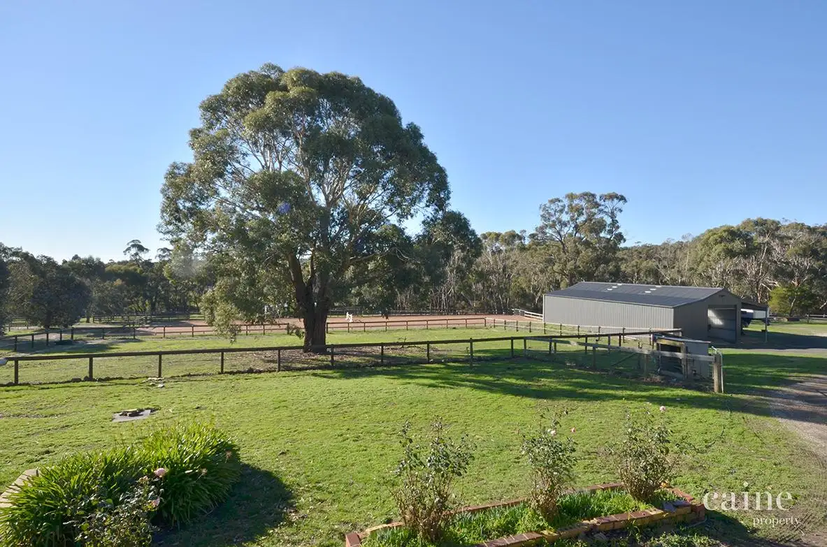 Main view of Homely rural property listing, 104 Jubilee Road, Sulky VIC 3352