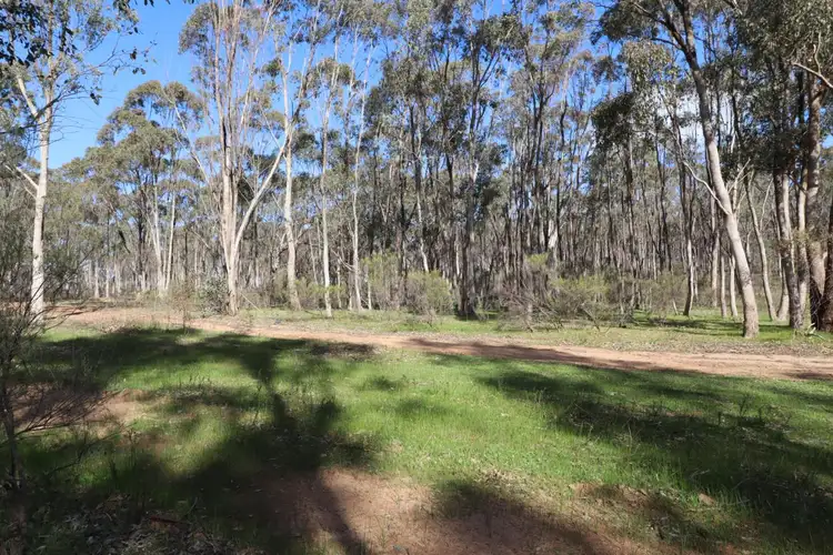Main view of Homely land listing, CA 68 Twin Rivers Road, Eppalock VIC 3551