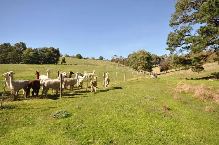 Seventh view of Homely rural property listing, 44 Wagner Road, Neerim South VIC 3831