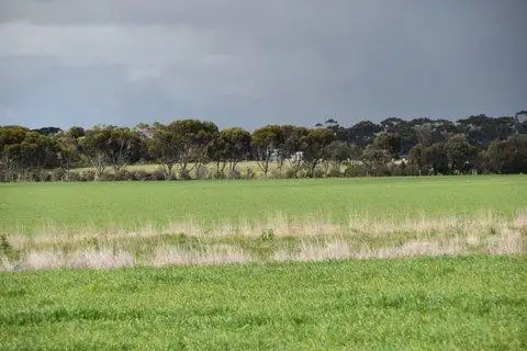 Third view of Homely rural property listing, 509 Lonies Road, Shelford VIC 3329