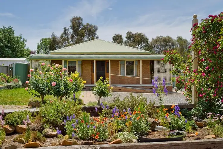 Main view of Homely house listing, 10 Maldon Road, Castlemaine VIC 3450