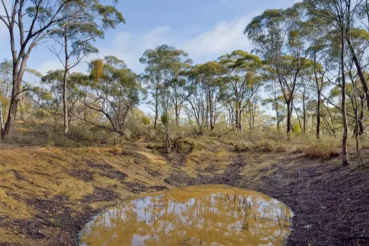 Fourth view of Homely rural property listing, 72 Speciman Gully Road, Barkers Creek VIC 3451