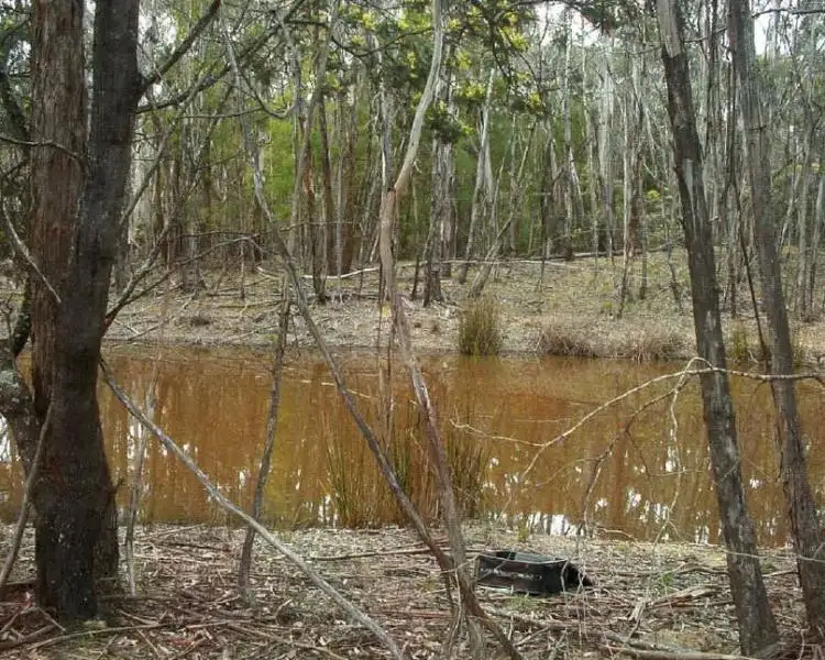 Main view of Homely land listing, 129 Sharpes Lane, Glenlyon VIC 3461