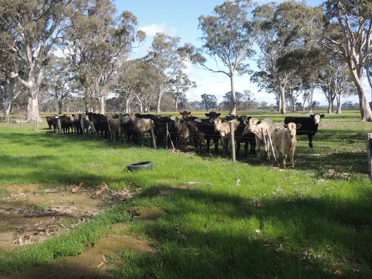 Third view of Homely rural property listing, 61A Ross Road, Cowwarr VIC 3857