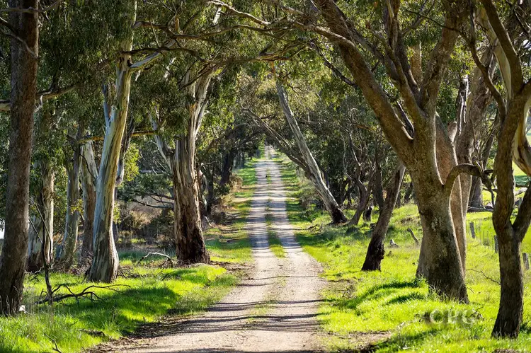 Sixth view of Homely rural property listing, 367 Werona-Kingston Road, Werona VIC 3364