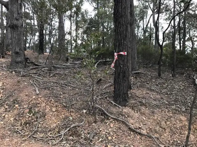 Second view of Homely land listing, 22A Hodges Road, Coongulla VIC 3860