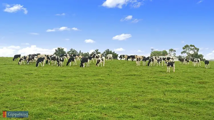 Second view of Homely rural property listing, 125 Yinnar Road, Driffield VIC 3840