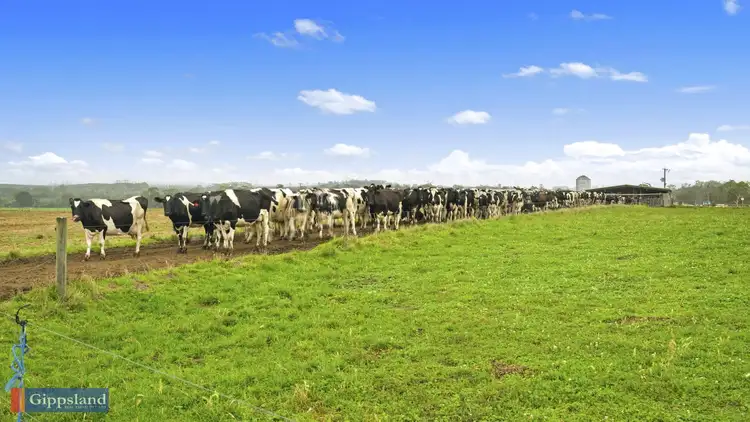 Sixth view of Homely rural property listing, 125 Yinnar Road, Driffield VIC 3840