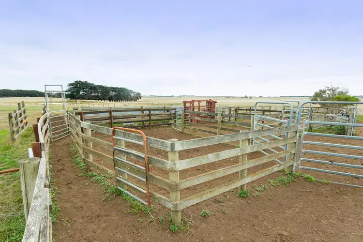Third view of Homely rural property listing, 603 Woolsthorpe Hexham Road, Woolsthorpe VIC 3276