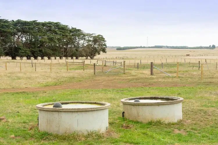 Fourth view of Homely rural property listing, 603 Woolsthorpe Hexham Road, Woolsthorpe VIC 3276