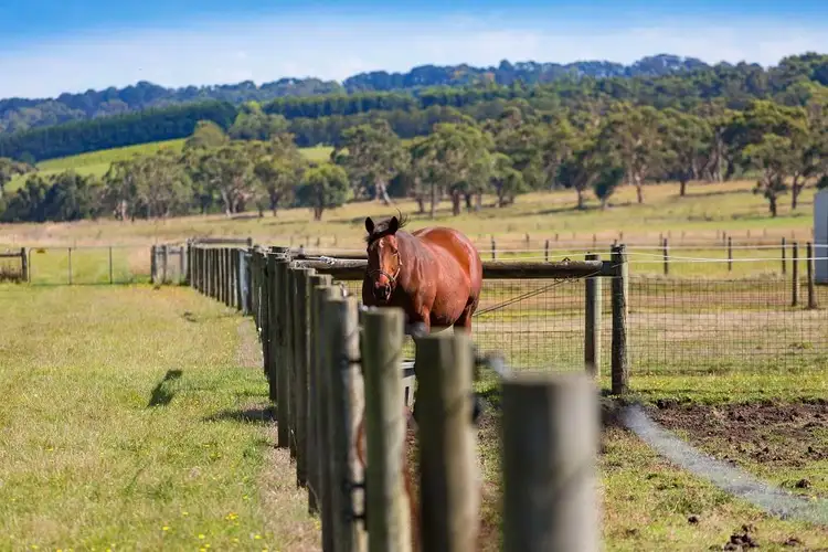 Sixth view of Homely rural property listing, 124 Balnarring Road, Balnarring VIC 3926