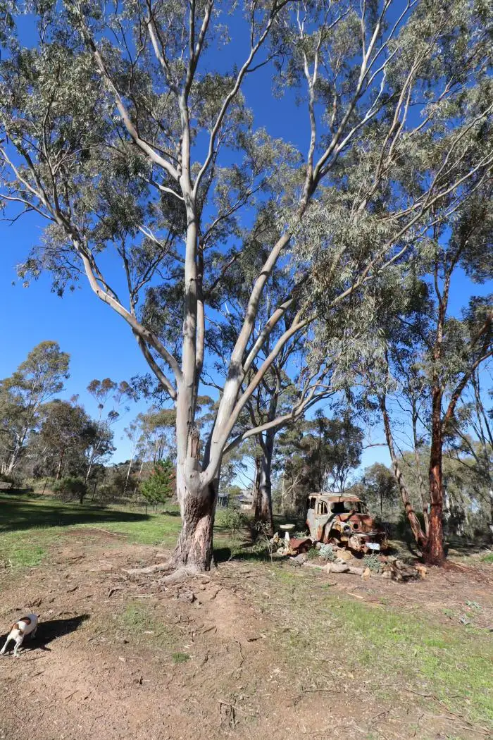 Third view of Homely house listing, 22 Crossley Road, Costerfield VIC 3523