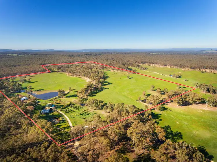Main view of Homely house listing, 77 Halls Lane, Muckleford VIC 3451