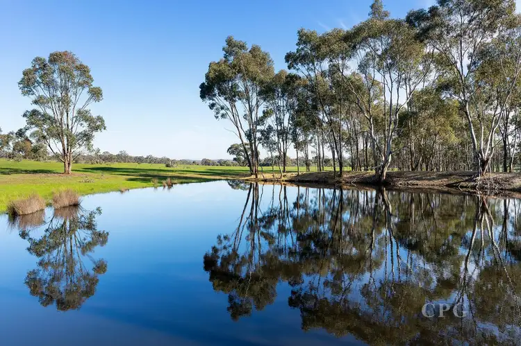 Fifth view of Homely house listing, 77 Halls Lane, Muckleford VIC 3451