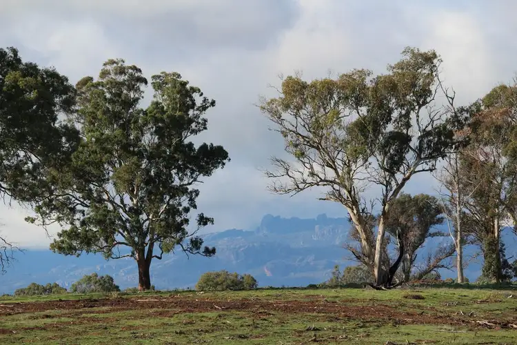 Carters Road, Mooralla VIC 3314