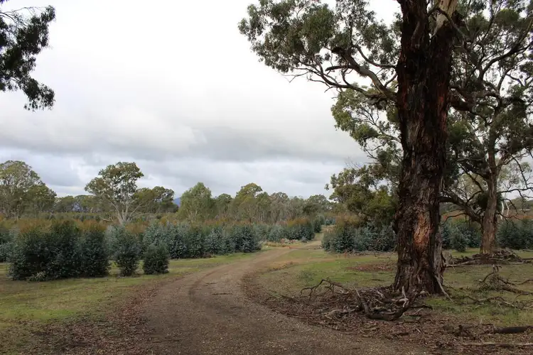 Third view of Homely rural property listing, Carters Road, Mooralla VIC 3314