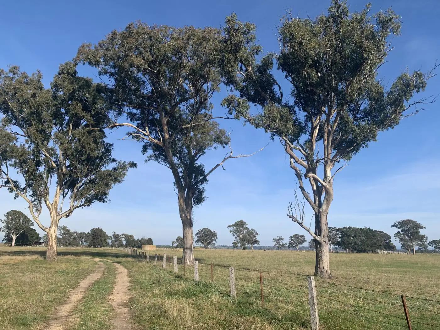 Main view of Homely rural property listing, Lot 2 Llowalong Road, Stratford VIC 3862