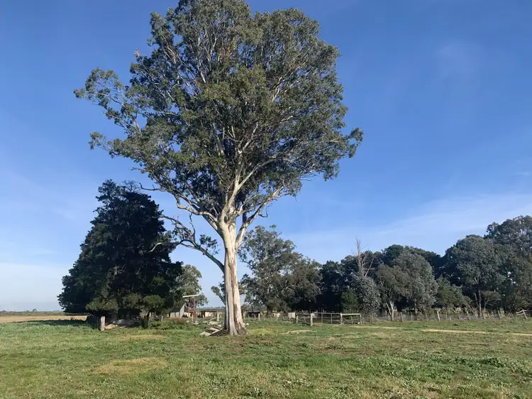 Fourth view of Homely rural property listing, Lot 2 Llowalong Road, Stratford VIC 3862