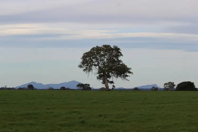 Main view of Homely rural property listing, Meins Road, Bulart VIC 3314