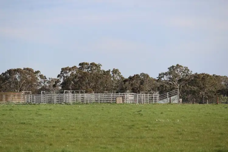 Third view of Homely rural property listing, Meins Road, Bulart VIC 3314