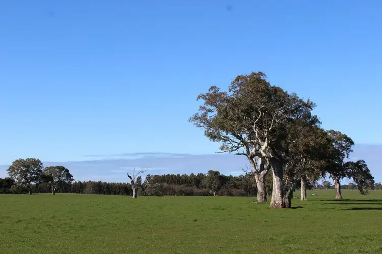 Fourth view of Homely rural property listing, Meins Road, Bulart VIC 3314
