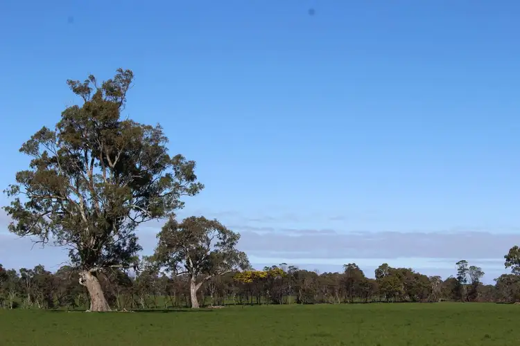 Sixth view of Homely rural property listing, Meins Road, Bulart VIC 3314