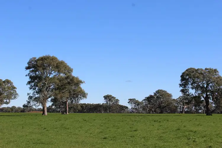 Seventh view of Homely rural property listing, Meins Road, Bulart VIC 3314