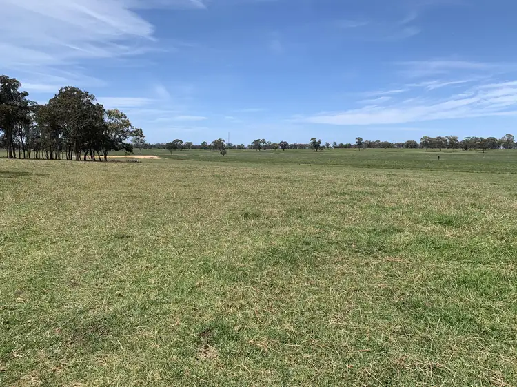Main view of Homely rural property listing, Lots 1 & 2 Rileys Road, Munro VIC 3862