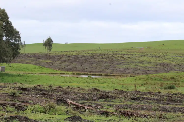 Main view of Homely rural property listing, 89d Thompson Street, Hamilton VIC 3300