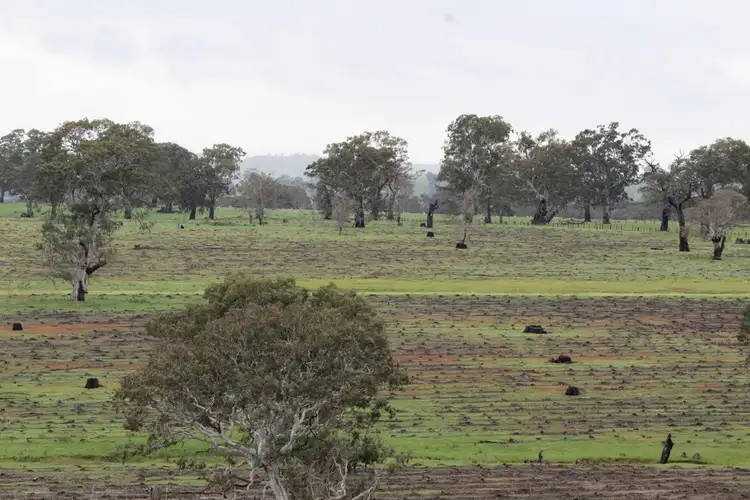 Second view of Homely rural property listing, 89d Thompson Street, Hamilton VIC 3300