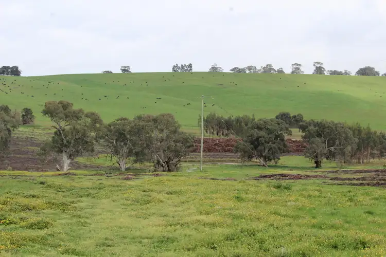 Fourth view of Homely rural property listing, 89d Thompson Street, Hamilton VIC 3300