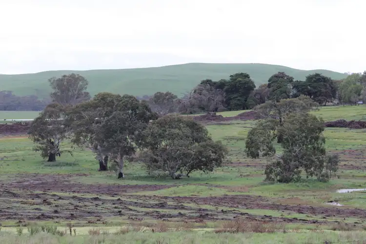 Seventh view of Homely rural property listing, 89d Thompson Street, Hamilton VIC 3300