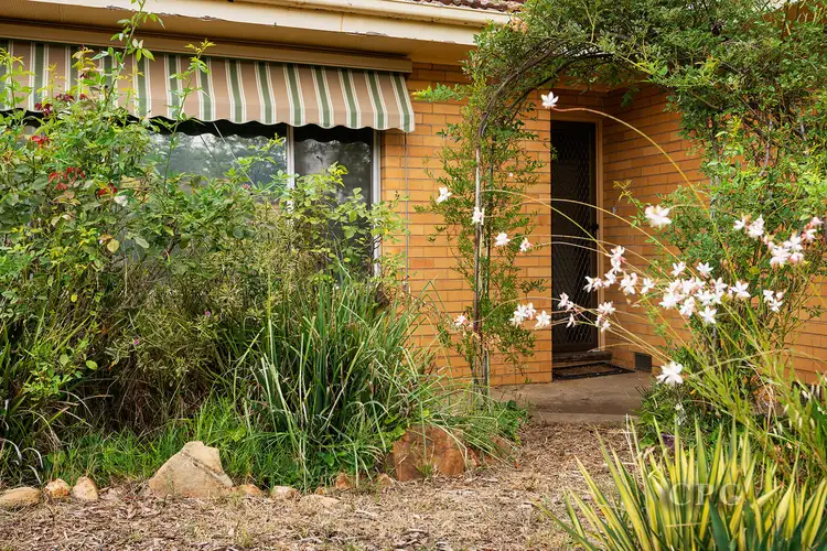 Main view of Homely house listing, 10 Douglas Crescent, Castlemaine VIC 3450